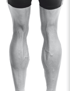 Schermata 2010-11-21 a 20.54.22